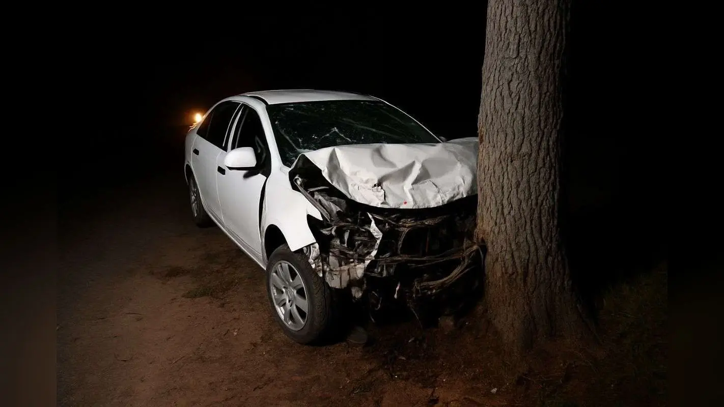 Dumka Accident: अंधेरी रात में अचानक आया मौत का मोड़: अनियंत्रित कार पेड़ से टकराई, दो युवकों ने दम तोड़ा