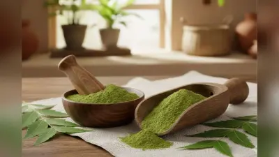 Homemade Neem Powder: बाजार वाला मिलावटी पाउडर छोड़िए, ताजे नीम के पत्तों से घर पर बनाएं होममेड नीम का पाउडर, महीनों तक कर सकेंगे इस्तेमाल