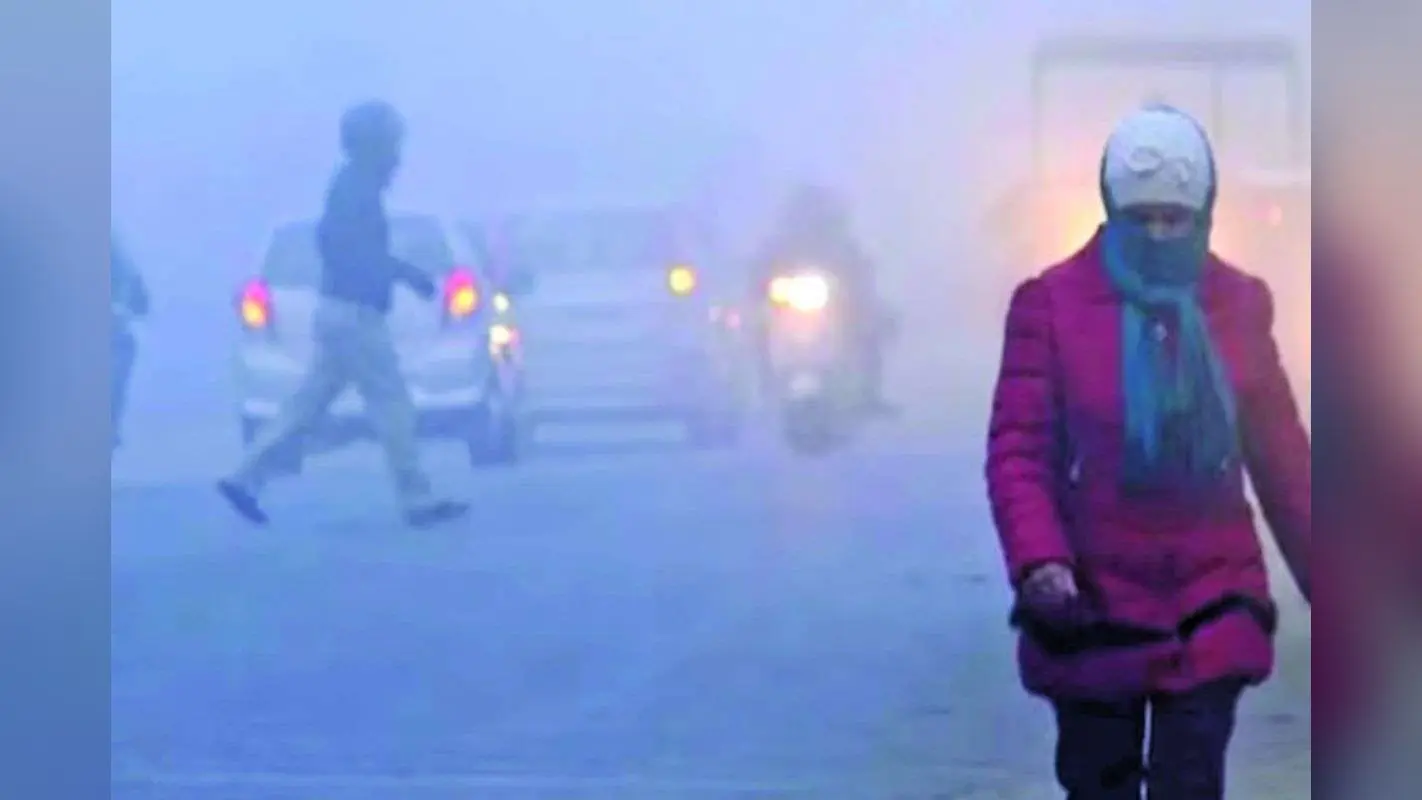 IMD Alert: अब हाड़ कंपाएगी ठंड, शीतलहर की चपेट में ये राज्य, IMD ने जारी किया अलर्ट