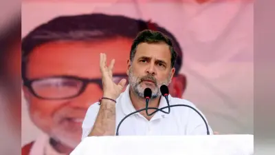 Bihar Chunav 2025: मछली पकड़ने पहुंचे राहुल गांधी, मुकेश सहनी के साथ तालाब में की मस्ती, देखें तस्वीर