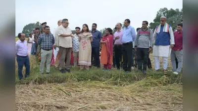 मोंथा चक्रवात से फसलों को नुकसान, कृषि मंत्री शिल्पी नेहा तिर्की पहुंचीं देवघर, किसानों को दिया ये भरोसा