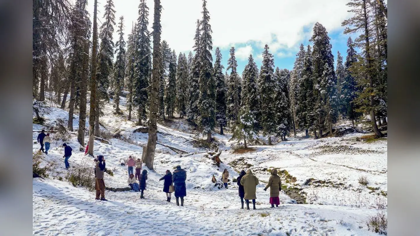 Weather Alert: शीतलहर का अलर्ट, अगले 48 घंटे में और बढ़ेगी ठंड