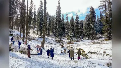 Weather Alert: शीतलहर का अलर्ट, अगले 48 घंटे में और बढ़ेगी ठंड