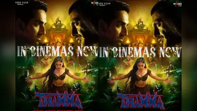 Thamma Box Office Collection: धीरे-धीरे कमजोर पड़ रही ‘थामा’ की रफ्तार, फिर भी निशाने पर सलमान खान- राजकुमार राव की फिल्म, जानें 17वें दिन का कलेक्शन