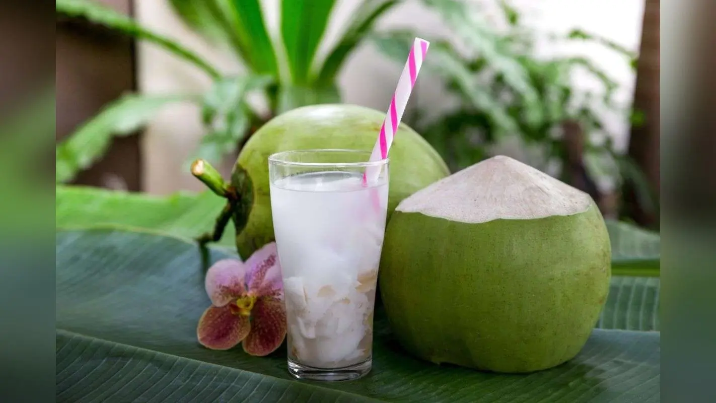 Coconut Water Side Effects: किन लोगों को नहीं करना चाहिए नारियल पानी का सेवन, इन बीमारियों का बढ़ जाता है खतरा