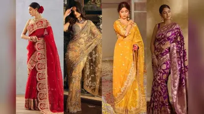 Trending Saree Designs: शादी के बाद रिसेप्शन में छा जाएं इन ट्रेंडी ब्राइडल साड़ियों के साथ, यहां देखें लेटेस्ट कलेक्शन