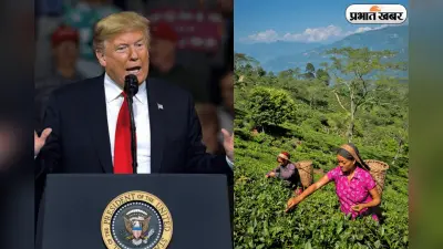 Trump Tariff Rollback: US ने चायपत्ती पर से टैक्स हटाया, पर भारत को मिला बस ‘सिप’ भर फायदा!