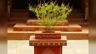 Tulsi Vivah 2025: आज या कल 2 नवंबर को है तुलसी विवाह, जानें किस तरीके से करें पूजा