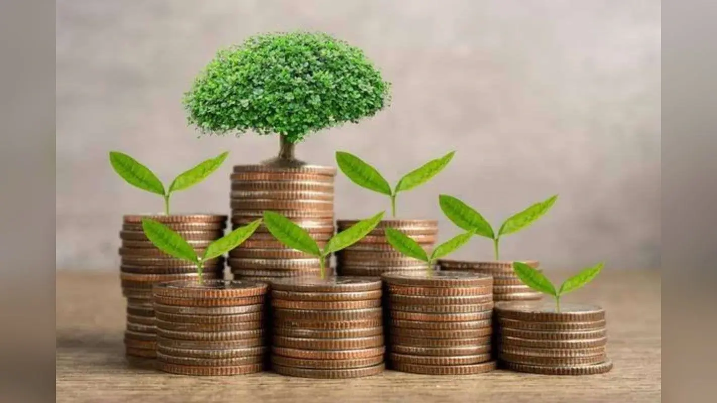 Vastu Tips For Money: इन 5 चीजों को घर में रखने से खुलेंगे धन के मार्ग, मिलेगी तरक्की