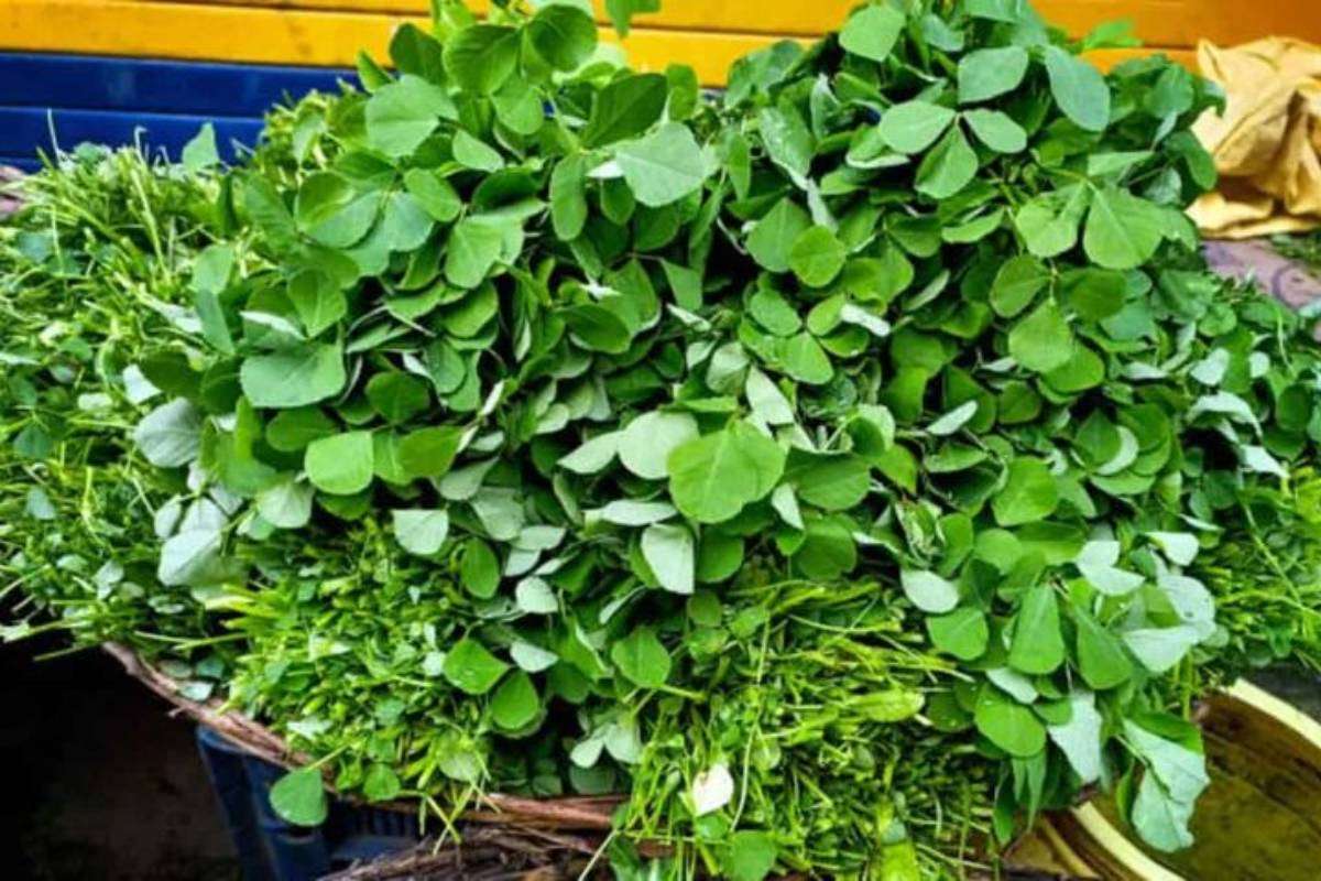 Methi