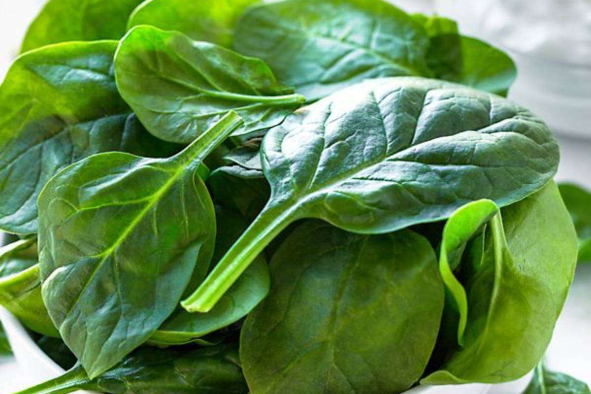 Palak