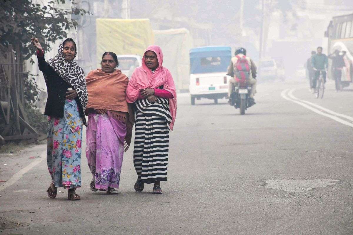 Heavy Rain And Cold wave Alert: अगले 24 घंटे भारी बारिश की संभावना, 5, 6, 7, 8 और 9 दिसंबर को शीतलहर की चेतावनी, IMD अलर्ट