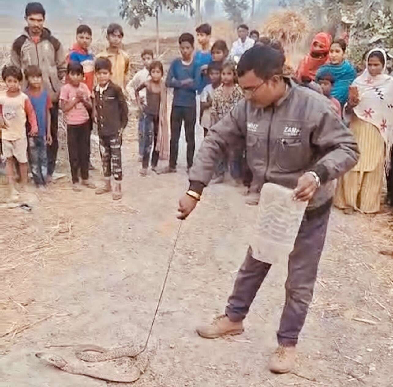 फुलवरिया में मुर्गी फार्म में घुसा कोबरा, एक घंटा बाद रेस्क्यू टीम ने पकड़ा