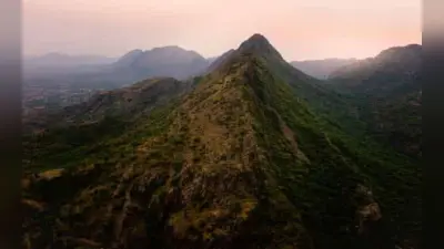 अरावली के हित में फैसला