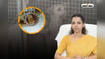 कौन हैं बागपत की DM? ठिठुरने वाली इस ठंड में, बेजुबान कुत्तों के लिए उठाया बड़ा कदम