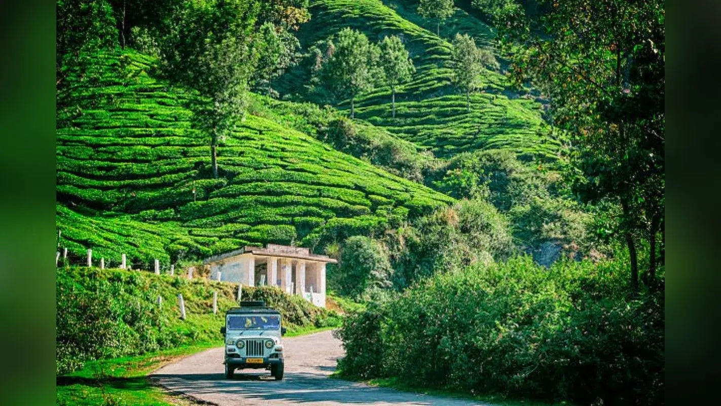 New Year Family Trip Ideas: नए साल का जश्न मनाने के लिए ड्रीम डेस्टिनेशन हैं भारत की ये जगहें
