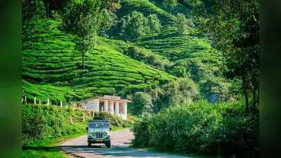 New Year Family Trip Ideas: नए साल का जश्न मनाने के लिए ड्रीम डेस्टिनेशन हैं भारत की ये जगहें