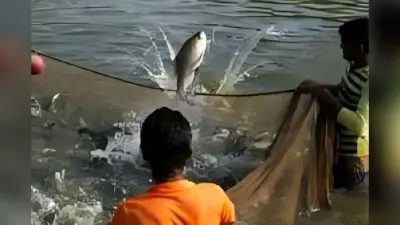 Bihar fish farming : बेकार चौर बना कमाई का जरिया, बिहार में मछली पालन से बदली किसानों की किस्मत