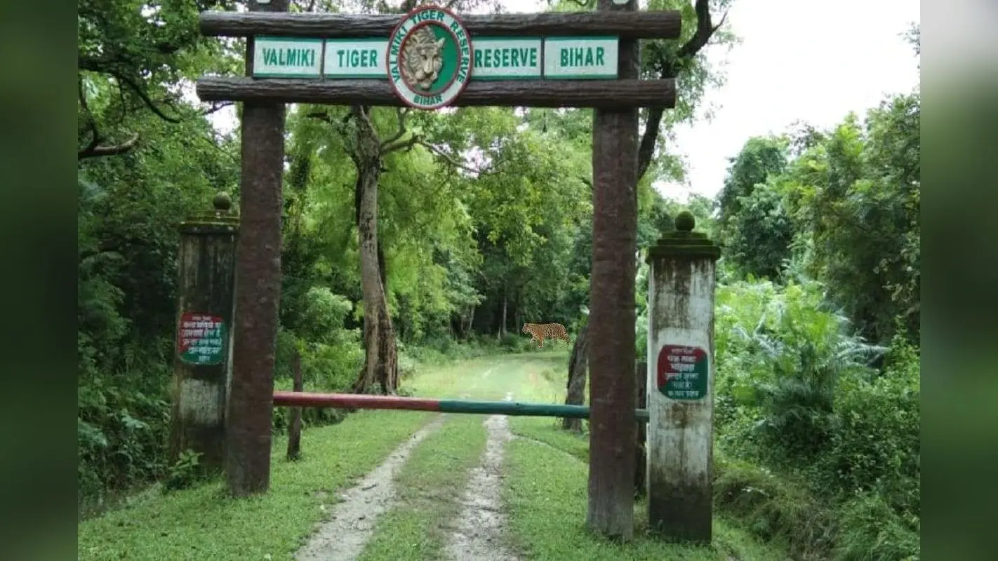 नए साल पर सुकून की तलाश? बिहार का VTR परफेक्ट टूरिस्ट डेस्टिनेशन