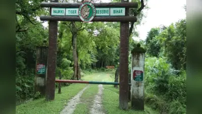 नए साल पर सुकून की तलाश? बिहार का VTR परफेक्ट टूरिस्ट डेस्टिनेशन