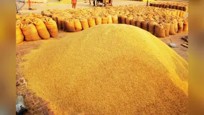 झारखंड में एमएसपी पर होगी धान की खरीद, 81 रुपए बोनस देगी हेमंत सोरेन सरकार