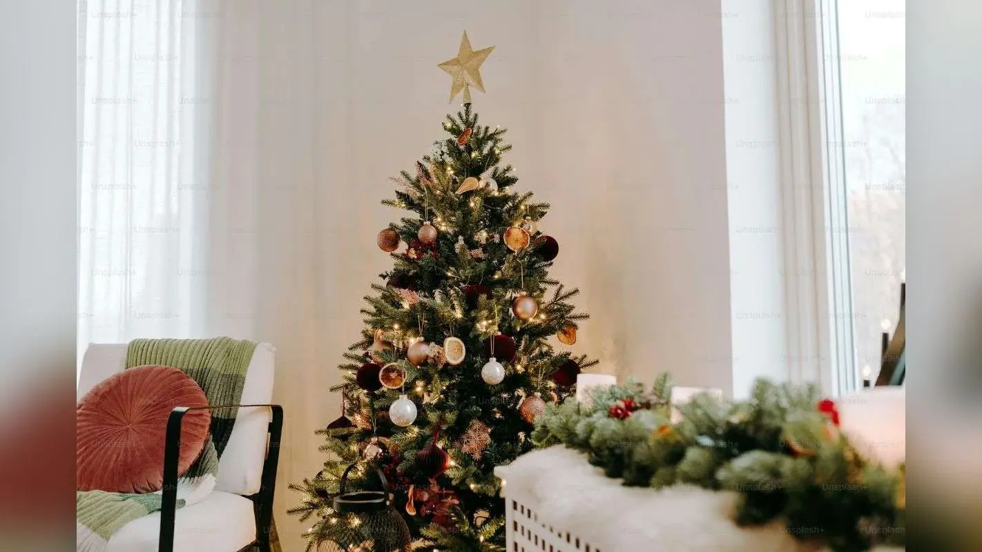 Christmas Tree Vastu Tips: घर में क्रिसमस ट्री लगाने से बदलता है भाग्य, जानें इसे रखने की सही दिशा