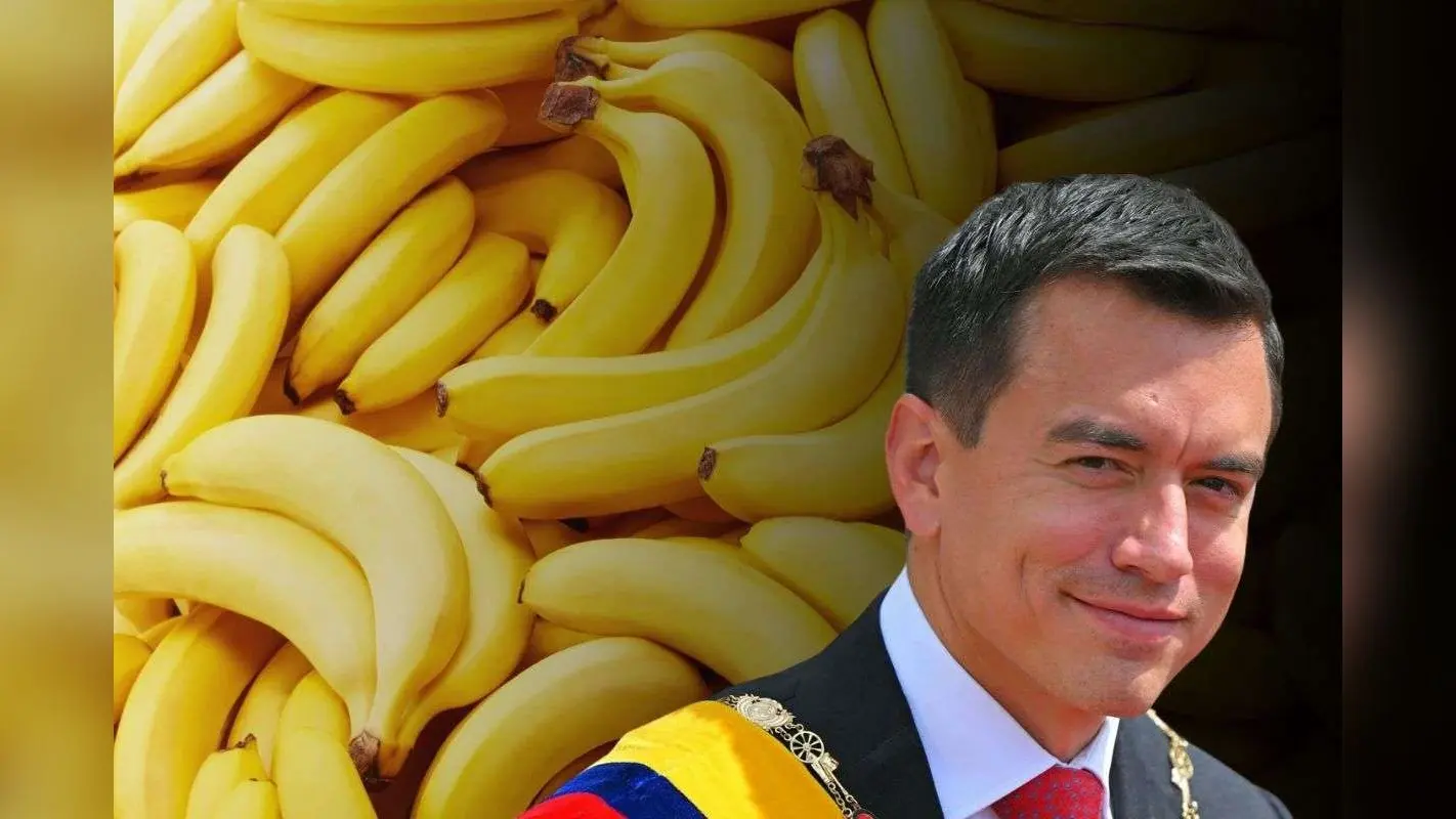 ‘केले’ की आड़ में कोकीन! राष्ट्रपति के फैमिली बिजनेस से जुड़ा ड्रग रैकेट बेनकाब, इक्वाडोर में मचा हड़कंप
