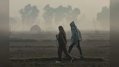 Cold Alert: अगले 72 घंटे में घने से बहुत घना कोहरा, दिल्ली-यूपी समेत इन राज्यों में कोल्ड अलर्ट