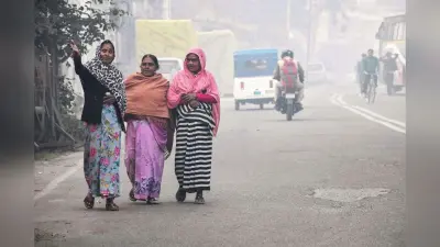 Cold Wave Warning: ठंड से कांप रहा उत्तर भारत, शीतलहर की चपेट में झारखंड, जम्मू-कश्मीर में तापमान शून्य से नीचे