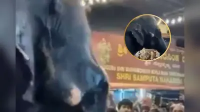 Fact Check : मंदिर में श्रद्धालुओं को रोक रहे पुलिसकर्मी को हाथी ने रास्ते से हटा दिया, देखें वीडियो