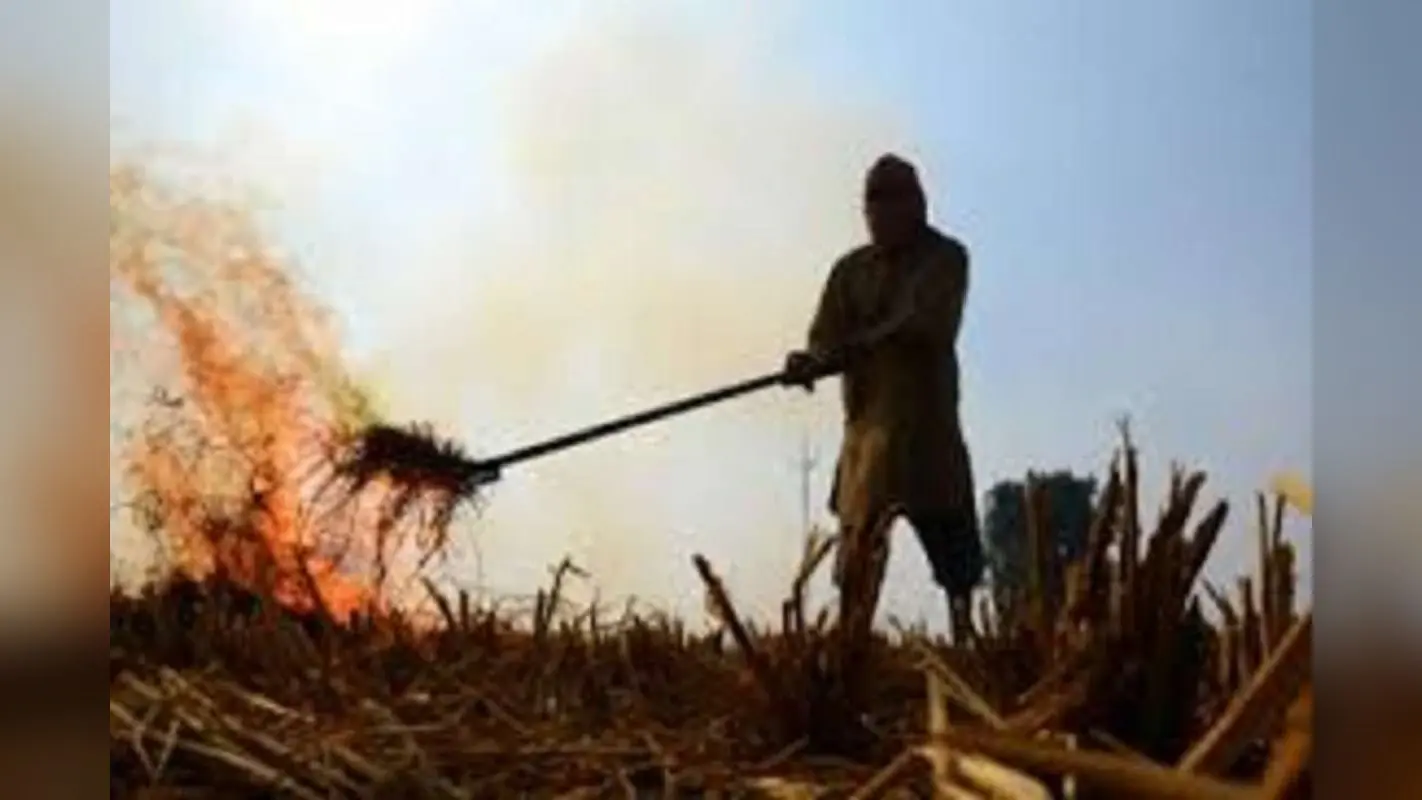 Bihar News: गुस्से में बिहार के किसान, फसल जला कर जतायी नाराजगी, दे दी ये खौफनाक चेतावनी