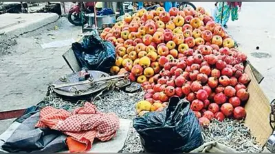 Siwan News : सिंगल यूज पॉलीथिन पर प्रतिबंध बेअसर, बढ़ रहा पर्यावरण संकट