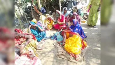Motihari : आम के बगीचा से युवक का शव बरामद,परिजनों ने लगाया हत्या का आरोप