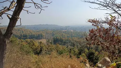 Bokaro News : पेटरवार से सीधे जुड़ेगा हिसीम-केदला पहाड़