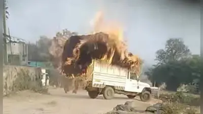 Giridih News :हाइटेंशन तार की चपेट में आने से लगी आग