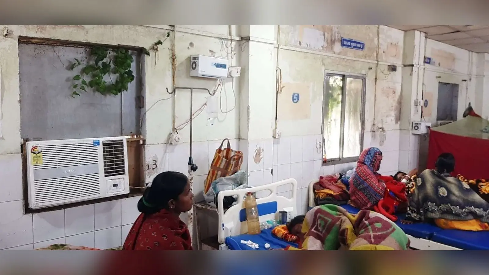 बर्न वार्ड में झाड़ियां घुसीं अंदर, मरीजों पर बढ़ा संक्रमण का खतरा