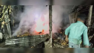 कोलासी गांव में देर रात पुआल के ढेर में लगी आग
