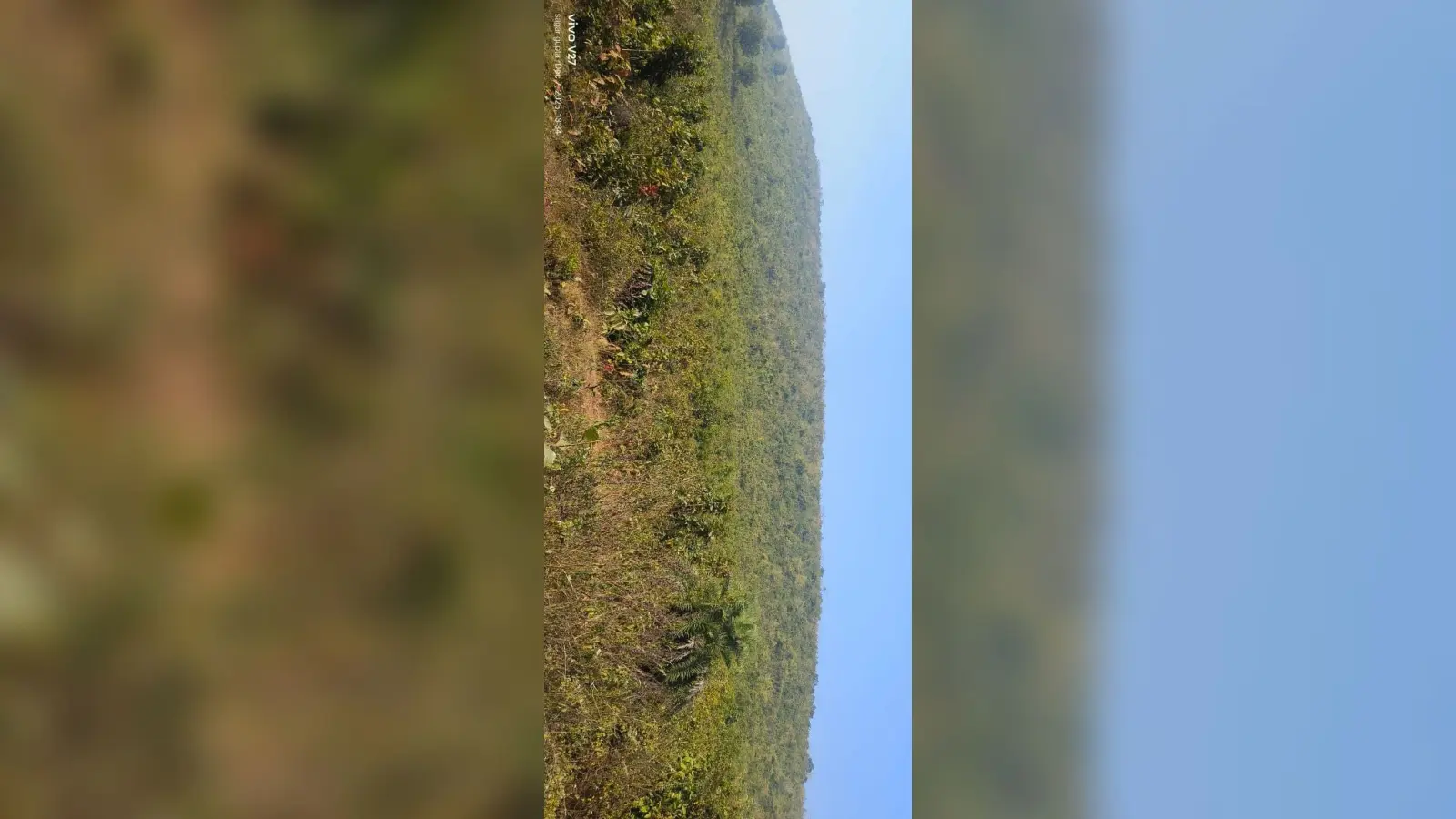 Giridih News :पिकनिक और टूरिस्ट स्पॉट के रूप में विकसित हो सकता है घोरंजी पहाड़