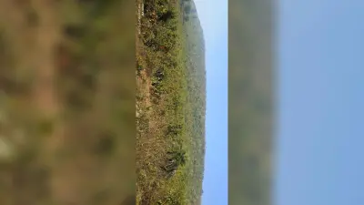 Giridih News :पिकनिक और टूरिस्ट स्पॉट के रूप में विकसित हो सकता है घोरंजी पहाड़