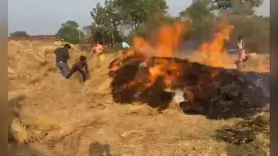आग लगने से खलिहान में रखा हजारों का धान जलकर राख