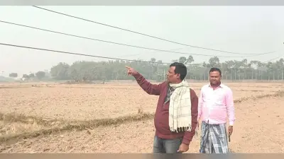 खनुवां बहियार में 11 हजार हाईटेंशन तार खेत में झूका