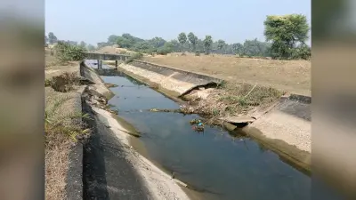 नहर का तटबंध कई जगहों पर क्षतिग्रस्त, पानी हो रहा बर्बाद