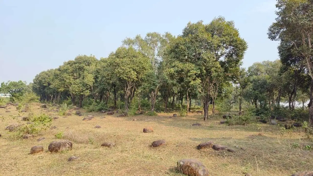 महेशपुर का पिकनिक स्पॉट सैलानियों को कर रहा आकर्षित