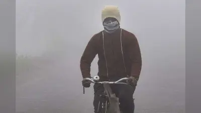 Kal ka Mausam : यूपी के अलावा इन राज्यों में छाएगा घना कोहरा, चलेगी शीतलहर, आ गया अलर्ट