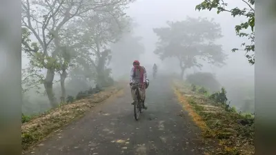 Cold Wave: अगले 3-4 दिन इन राज्यों में हाड़ कंपाने वाली ठंड, घना कोहरा छाए रहने की संभावना, बारिश का अलर्ट जारी