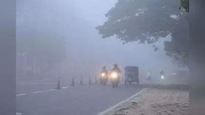 गोपालगंज में अगले दो दिन भीषण ठंड का अलर्ट, बहेगी पछुआ हवा, वेस्टर्न डिस्टर्बेंस का कितना असर?