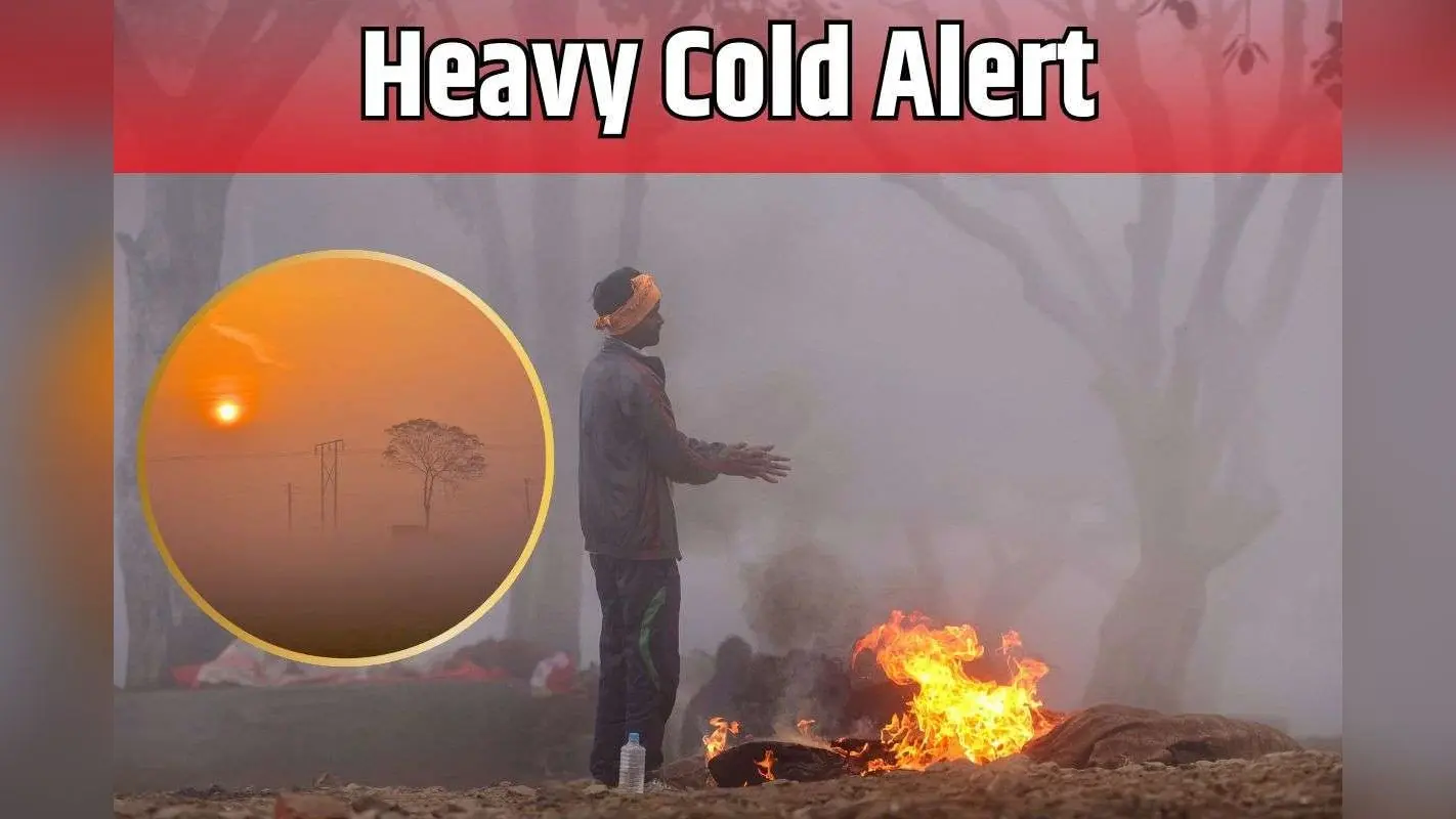 Heavy Cold Alert: अगले 48 घंटे बर्फबारी की चेतावनी, कई राज्यों में कोल्ड अलर्ट, पूरे सप्ताह कोहरे की चेतावनी