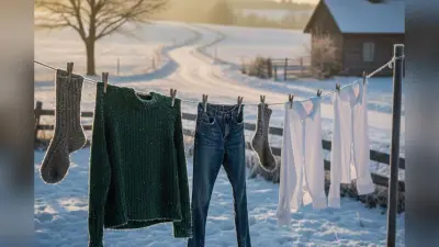 How to Dry Clothes in Winter: विंटर में कपड़े सुखाने की टेंशन खत्म, इस ट्रिक्स से आसानी से सूख जाएंगे कपड़े