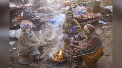 Kal ka Mausam : 15 दिसंबर तक चलेगी शीतलहर, घना कोहरा बढ़ाएगा परेशानी