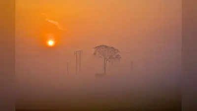 IMD Alert: अगले सप्ताह बारिश और बर्फबारी की चेतावनी, IMD का अलर्ट, बदल सकता है कश्मीर का मौसम